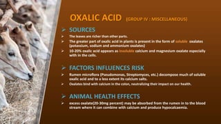 OXALIC ACID (GROUP IV : MISCELLANEOUS)
? SOURCES
? The leaves are richer than other parts.
? The greater part of oxalic acid in plants is present in the form of soluble oxalates
(potassium, sodium and ammonium oxalates)
? 10-20% oxalic acid appears as insoluble calcium and magnesium oxalate especially
with in the cells.
? FACTORS INFLUENCES RISK
? Rumen microflora (Pseudomonas, Streptomyces, etc.) decompose much of soluble
oxalic acid and to a less extent its calcium salts.
? Oxalates bind with calcium in the colon, neutralizing their impact on our health.
? ANIMAL HEALTH EFFECTS
? excess oxalate(20-30mg percent) may be absorbed from the rumen in to the blood
stream where it can combine with calcium and produce hypocalcaemia.
 