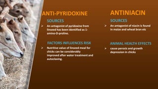 ANTINIACIN
SOURCES
? An antagonist of niacin is found
in maize and wheat bran etc.
ANIMAL HEALTH EFFECTS
? cause perosis and growth
depression in chicks
ANTI-PYRIDOXINE
SOURCES
? An antagonist of pyridoxine from
linseed has been identified as 1-
amino-D-proline.
FACTORS INFLUENCES RISK
? Nutritive value of linseed meal for
chicks can be considerably
improved after water treatment and
autoclaving.
 