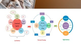 anti nutrition factor.pptx
