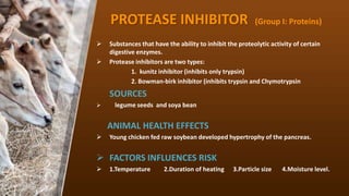 PROTEASE INHIBITOR (Group I: Proteins)
? Substances that have the ability to inhibit the proteolytic activity of certain
digestive enzymes.
? Protease inhibitors are two types:
1. kunitz inhibitor (inhibits only trypsin)
2. Bowman-birk inhibitor (inhibits trypsin and Chymotrypsin
SOURCES
? legume seeds and soya bean
ANIMAL HEALTH EFFECTS
? Young chicken fed raw soybean developed hypertrophy of the pancreas.
? FACTORS INFLUENCES RISK
? 1.Temperature 2.Duration of heating 3.Particle size 4.Moisture level.
 
