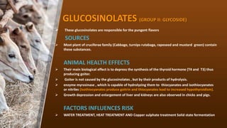 GLUCOSINOLATES (GROUP II: GLYCOSIDE)
? These glucosinolates are responsible for the pungent flavors
SOURCES
? Most plant of cruciferae family (Cabbage, turnips rutabaga, rapeseed and mustard green) contain
these substances.
ANIMAL HEALTH EFFECTS
? Their main biological effect is to depress the synthesis of the thyroid hormone (T4 and T3) thus
producing goiter.
? Goiter is not caused by the glucosinolates , but by their products of hydrolysis.
? enzyme myrosinase , which is capable of hydrolyzing them to thiocyanates and isothiocyanates
or nitriles (Isothiocyanates produce goitrin and thiocyanates lead to increased hypothyroidism).
? Growth depression and enlargement of liver and kidneys are also observed in chicks and pigs.
FACTORS INFLUENCES RISK
? WATER TREATMENT, HEAT TREATMENT AND Copper sulphate treatment Solid state fermentation
 