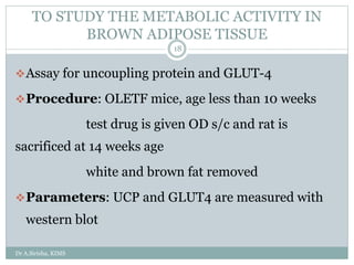 TO STUDY THE METABOLIC ACTIVITY IN
BROWN ADIPOSE TISSUE
Dr A.Sirisha, KIMS
18
Assay for uncoupling protein and GLUT-4
Procedure: OLETF mice, age less than 10 weeks
test drug is given OD s/c and rat is
sacrificed at 14 weeks age
white and brown fat removed
Parameters: UCP and GLUT4 are measured with
western blot
 