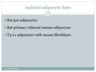 Isolated adipocyte lines
Dr A.Sirisha, KIMS
22
Rat pre-adipocytes
Rat primary cultured mature adipocytes
T3-L1 adipocytes with mouse fibroblasts
 