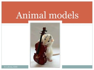 Animal models
Dr A.Sirisha, KIMS
6
 