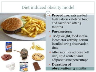 Diet induced obesity model
 Procedure: rats are fed
high calorie cafeteria food
and sacrificed after 3
m0nths
 Parameters:
 Body weight, food intake,
locomotor activity, serum
insulinduring observation
time
 After sacrifice adipose cell
size, lipid content and
adipose tissue percentage
 Duration of
observation: 3 monthsDr A.Sirisha, KIMS
9
 