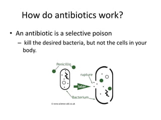 How do antibiotics work?An antibiotic is a selective poisonkill the desired bacteria, but not the cells in your body. 
