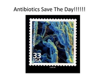 Antibiotics Save The Day!!!!!!