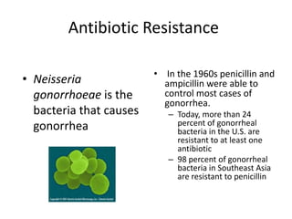 Antibiotic Resistance In the 1960s penicillin and ampicillin were able to control most cases of gonorrhea. Today, more than 24 percent of gonorrheal bacteria in the U.S. are resistant to at least one antibiotic98 percent of gonorrheal bacteria in Southeast Asia are resistant to penicillinNeisseriagonorrhoeaeis the bacteria that causes gonorrhea