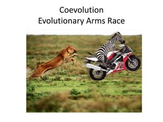 CoevolutionEvolutionary Arms Race