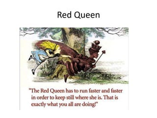 Red Queen