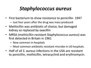 Staphylococcus aureusFirst bacterium to show resistance to penicillin- 1947Just four years after the drug was mass producedMethicillin was antibiotic of choice, but damaged kidney so replaced by oxacillinMRSA (methicillin-resistant Staphylococcus aureus) was first detected in Britain in 1961Now common in hospitalsMost common antibiotic resistant microbe in US hospitals.Half of all S. aureus infections in the USA are resistant to penicillin, methicillin, tetracyclind and erythromycin.