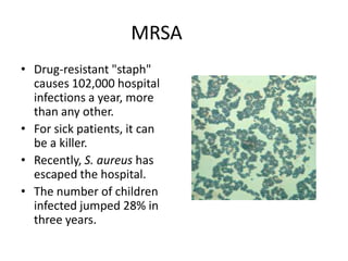 MRSADrug-resistant "staph" causes 102,000 hospital infections a year, more than any other. For sick patients, it can be a killer. Recently, S. aureus has escaped the hospital.The number of children infected jumped 28% in three years. 