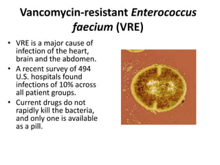 Vancomycin-resistant Enterococcusfaecium (VRE)VRE is a major cause of infection of the heart, brain and the abdomen.A recent survey of 494 U.S. hospitals found infections of 10% across all patient groups.Current drugs do not rapidly kill the bacteria, and only one is available as a pill.
