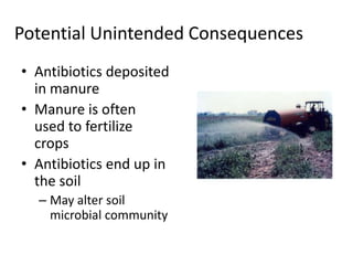 Potential Unintended ConsequencesAntibiotics deposited in manureManure is often used to fertilize cropsAntibiotics end up in the soilMay alter soil microbial community
