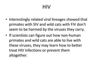 HIVInterestingly related viral lineages showed that primates with SIV and wild cats with FIV don't seem to be harmed by the viruses they carry.