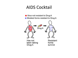 AIDS Cocktail