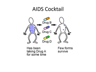 AIDS Cocktail