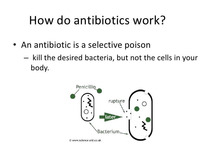 antiobiotic resistance how antibiotic works
