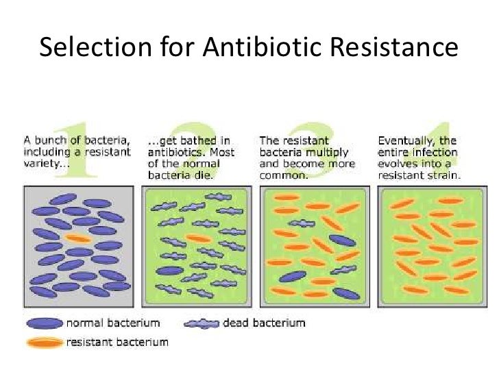 Antiobiotic Resistance