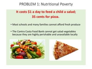 PROBLEM 1: Nutritional Poverty
It costs $1 a day to feed a child a salad;
35 cents for pizza.
• Most schools and many families cannot afford fresh produce
• The Contra Costa Food Bank cannot get salad vegetables
because they are highly perishable and unavailable locally
 