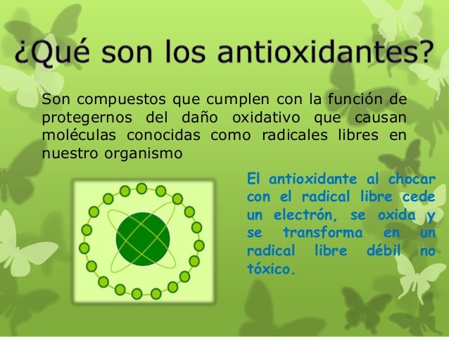 alimentos antioxidantes alimentos antioxidantes alimentos antioxidantes alimentos antioxidantes