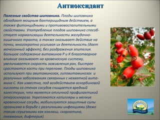 АнтиоксидантАнтиоксидант
Полезные свойства шиповника. Плоды шиповника
обладают мощным бактерицидным действием, а
также фитонцидными и противовоспалительными
свойствами. Употребление плодов шиповника способ-
ствует нормализации деятельности желудочно-
кишечного тракта, а также оказывает действие на
почки, многократно усиливая их деятельность (дает
мочегонный эффект), без раздражения эпителия.
Большое содержание витаминов Р и К благотворное
влияние оказывают на кровеносную систему,
увеличивается скорость заживления ран, быстрее
срастаются кости при переломе. Плоды шиповника
используют при авитаминозах, гиповитаминозах и
различных заболеваниях связанных с нехваткой вита-
мина С. Как известно, под воздействием аскорбиновой
кислоты со стенок сосудов счищается вредный
холестерин, что является отличной профилактикой
атеросклероза. Укрепляются капилляры и мелкие
кровеносные сосуды, мобилизуются защитные силы
организма в борьбе с различными инфекциями (даже
таким серьезными как коклюш, скарлатина,
пневмония, дифтерия).
 