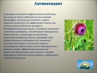 АнтиоксидантАнтиоксидант
Силимарин считается эффективным средством
при лечении таких заболеваний как жировая
дистрофия, токсический гепатит, цирроз,
вирусные гепатиты. Он эффективен также при
лечении язвенной болезни желудка и
двенадцатиперстной кишки. Силимарин укрепляет
клеточные мембраны, способствует образованию
новых клеток, стимулируя синтез белка,
увеличения выработки желчи, благодаря чему
осуществляется поддержка всей иммунной
системы организма и улучшение процесса
пищеварения, обеспечивая полное переваривание и
усвоение жиров. Эффективно применение
молочного чертополоха при псориазе, периоды
обострения которого четко связаны с ухудшением
печеночной функции.
 
