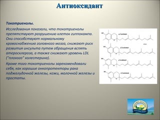АнтиоксидантАнтиоксидант
Токотриенолы.
Исследования показали, что токотриенолы
препятствуют разрушению клеток гиппокампа.
Они способствуют нормальному
кровоснабжению головного мозга, снижают риск
развития инсульта путем обращения вспять
атеросклероза, а также снижают уровень LDL
("плохого" холестерина).
Кроме того токотриенолы зарекомендовали
себя, как хорошие онкопротекторы рака
поджелудочной железы, кожи, молочной железы и
простаты.
 
