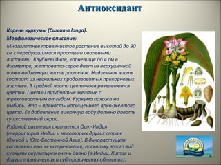 АнтиоксидантАнтиоксидант
Корень куркумы (Curcuma longa).
Морфологическое описание:
Многолетнее травянистое растение высотой до 90
см с чередующимися простыми овальными
листьями. Клубневидное, корневище до 4 см в
диаметре, желтовато-серое дает из верхушечной
почки надземную часть растения. Надземная часть
состоит из нескольких продолговатых прикорневых
листьев. В средней части цветоноса развиваются
цветки. Цветки трубчатые желтые с
трехлопастным отгибом. Куркума похожа на
имбирь. Это – пряность насыщенного ярко-желтого
цвета. Ее добавление в горячую воду должно давать
существенный окрас.
Родиной растения считается Ост-Индия
(территория Индии и некоторых других стран
Южной и Юго-Восточной Азии). В дикорастущем
состоянии оно не встречается, поскольку этот вид
куркумы окультурен очень давно (в Индии, Китае и
других тропических и субтропических областях).
 
