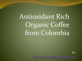 Antioxidant Rich
Organic Coffee
from Colombia
 