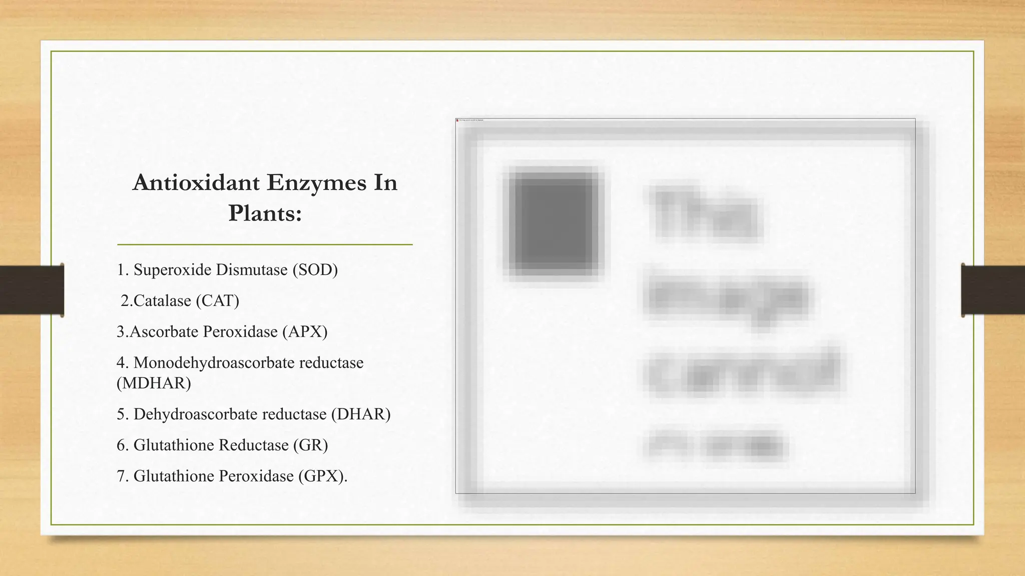 glutathione peroxidase pronunciation antioxidant enzymes. biochemistry botany biology VT Cosmetics - Makeup GMC SELECT QUANTITY:3 Bottles