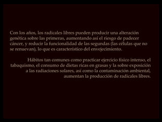 Con los años, los radicales libres pueden producir una alteración
genética sobre las primeras, aumentando así el riesgo de padecer
cáncer, y reducir la funcionalidad de las segundas (las células que no
se renuevan), lo que es característico del envejecimiento.

        Hábitos tan comunes como practicar ejercicio físico intenso, el
tabaquismo, el consumo de dietas ricas en grasas y la sobre exposición
       a las radiaciones solares, así como la contaminación ambiental,
                           aumentan la producción de radicales libres.
 