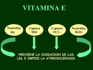 VITAMINA E

Neutraliza    Captura   Captura    Neutraliza
  102          HO•       O• 2 -      H2O2




        PREVIENE LA OXIDACION DE LAS
       LDL E IMPIDE LA ATEROSCLEROSIS
 