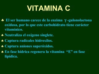 VITAMINA C
♠ El ser humano carece de la enzima γ -gulonolactona
  oxidasa, por lo que este carbohidrato tiene carácter
  vitamínico.
♠ Neutraliza el oxígeno singlete.
♠ Captura radicales hidroxilos.
♠ Captura aniones superóxidos.
♠ En fase hídrica regenera la vitamina “E” en fase
  lipídica.
 