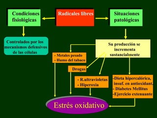 Condiciones            Radicales libres                Situaciones
    fisiológicas                                           patológicas



  Controlados por los
                                                         Su producción se
`mecanismos defensivos
                                                            incrementa
    de las células
                         - Metales pesado                 sustancialmente
                         - Humo del tabaco

                                  Drogas

                                     - R.ultravioletas     -Dieta hipercalórica,
                                     - Hiperoxia            insuf. en antioxidant.
                                                           - Diabetes Mellitus
                                                           -Ejercicio extenuante

                         Estrés oxidativo
 