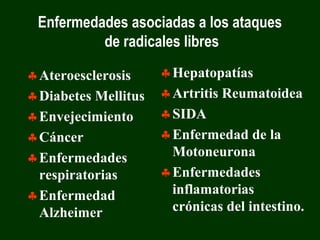 Enfermedades asociadas a los ataques
          de radicales libres

♣ Ateroesclerosis     ♣ Hepatopatías
♣ Diabetes Mellitus   ♣ Artritis Reumatoidea
♣ Envejecimiento      ♣ SIDA
♣ Cáncer              ♣ Enfermedad de la
♣ Enfermedades          Motoneurona
  respiratorias       ♣ Enfermedades
♣ Enfermedad            inflamatorias
  Alzheimer             crónicas del intestino.
 