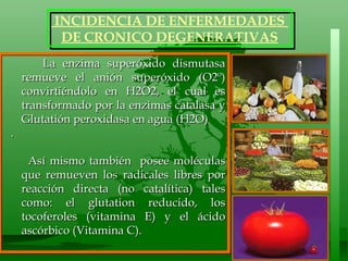 La enzima superóxido dismutasa remueve el anión superóxido (O2º) convirtiéndolo en H2O2, el cual es transformado por la enzimas catalasa y Glutatión peroxidasa en agua (H2O) .  Así mismo también  posee moléculas que remueven los radicales libres por reacción directa (no catalítica) tales como: el glutation reducido, los tocoferoles (vitamina E) y el ácido ascórbico (Vitamina C).  INCIDENCIA DE ENFERMEDADES  DE CRONICO DEGENERATIVAS 