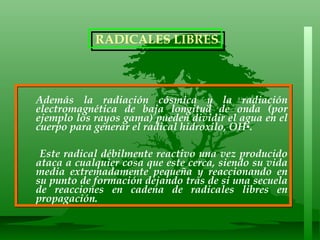Además la radiación cósmica y la radiación electromagnética de baja longitud de onda (por ejemplo los rayos gama) pueden dividir el agua en el cuerpo para generar el radical hidroxilo, OH▪.  Este radical débilmente reactivo una vez producido ataca a cualquier cosa que este cerca, siendo su vida media extremadamente pequeña y reaccionando en su punto de formación dejando tras de si una secuela de reacciones en cadena de radicales libres en propagación.   RADICALES LIBRES 