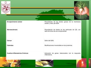 . Envejecimiento celular Peroxidación de los ácidos grasos de la membrana celular y daño del ADN. Ateroesclerosis  Peroxidación de lípidos en las partículas de LDL con daño de otros de sus componentes. Cáncer  Daño del ADN. Cataratas Modificaciones irreversibles en las proteínas. Cuadros Inflamatorios Crónicos  Activación de genes relacionados con la respuesta inflamatoria.  