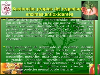 Sustancias propias del organismo,  enzimas antioxidantes Tambièn cierta parte de los superóxidos son producidos por accidentes químicos en los que muchas moléculas del cuerpo reaccionan directamente con el Oxigeno para producir súperóxido. Ejemplos de ello incluyen las catecolaminas, tetrahidrofolatos y algunos componentes de la cadena mitocondrial y otras cadenas de transporte de electrones.  Esta producción de superóxido es inevitable. Además cierta cantidad de súper óxido se produce deliberadamente por ejemplo los fagocitos activados (neutrófilos, monocitos, macrófagos, eosinófilos) dan lugar a grandes cantidades superóxido como parte del mecanismo a través del cual exterminan a los organismos extraños durante las inflamaciones crónicas este mecanismo protector normal puede afectarse.  