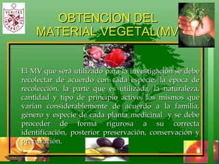 OBTENCION DEL  MATERIAL VEGETAL(MV) El MV que serà utilizado para la investigación se debe recolectar de acuerdo con cada especie, la época de recolección, la parte que es utilizada, la naturaleza, cantidad y tipo de principio activo, los mismos que varían considerablemente de acuerdo a la familia, género y especie de cada planta medicinal  y se debe proceder de forma rigurosa a su correcta identificación, posterior preservación, conservación y preparación. 