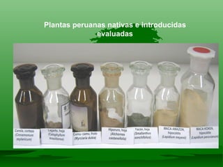 Plantas peruanas nativas e introducidas evaluadas 