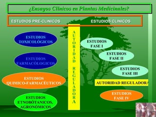 ESTUDIOS PRE-CLÍNICOS  ESTUDIOS CLINICOS ESTUDIOS TOXICOLÓGICOS A U T O R I D A D R E G U L A D O R A ESTUDIOS FARMACÓLOGICOS ESTUDIOS QUIMICO-FARMACÉUTICOS ESTUDIOS ETNOBÓTANICOS,  AGRONÓMICOS ESTUDIOS FASE I ESTUDIOS FASE II ESTUDIOS FASE III ESTUDIOS FASE IV AUTORIDAD REGULADORA ¿Ensayos Clínicos en Plantas Medicinales?   