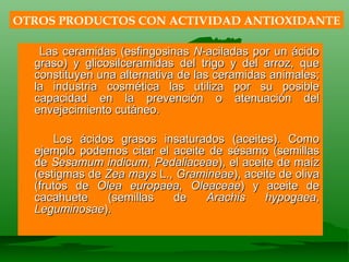 Las ceramidas (esfingosinas  N -aciladas por un ácido graso) y glicosilceramidas del trigo y del arroz, que constituyen una alternativa de las ceramidas animales; la industria cosmética las utiliza por su posible capacidad en la prevención o atenuación del envejecimiento cutáneo. Los ácidos grasos insaturados (aceites). Como ejemplo podemos citar el aceite de sésamo (semillas de  Sesamum indicum ,  Pedaliaceae ), el aceite de maíz (estigmas de  Zea mays  L.,  Gramineae ), aceite de oliva (frutos de  Olea europaea ,  Oleaceae ) y aceite de cacahuete (semillas de  Arachis hypogaea ,  Leguminosae ). OTROS PRODUCTOS CON ACTIVIDAD ANTIOXIDANTE 
