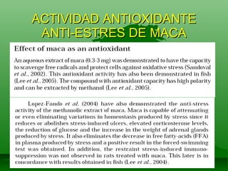 ACTIVIDAD ANTIOXIDANTE ANTI-ESTRES DE MACA 
