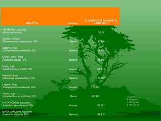 Tabla 1. Capacidad Antioxidante por el método del DPPH a  1 ug/mL,    b  50 ug/mL   c  100 ug/ mL   d  200 ug/ mL MUESTRA Extracto % CAPTACION DE RADICAL LIBRE (R.L.) VITAMINA C  (Control ) (Acido Ascórbico)   ----- 92,82 Canela, corteza (Cinnamomum zeylanicum)  10% Etanol 97.59  a Lagarto, hoja (Calophyllum brasiliense)  20% Metanol 99.76  b Camu- camu, fruto (Myrciaria dubia)  10% Metanol 98.09  b Muña, hoja (Minthostachys mollis)  10% Acuoso 92.41  b   Hiporuro, hoja (Alchornea castaneifolia)  10% Metanol 75.96  b Lagarto, hoja (Calophyllum brasiliense)  10% Acuoso 110.56  c Yacón, hoja (Smallanthus sonchifolius ) 10% Etanol 103.19  d MACA KOKEN, hipocótilo (Lepidium peruvianum)  10% Acuoso 95.55  d   MACA AMAZON, hipocótilo (Lepidium meyenii)  10% Metanol 88.21  d 