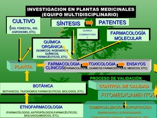 QUÍMICA ORGÁNICA   (QUIMICOS; INGENIEROS QUÎMICOS, FARMACÉUTICOS, ETC) QUÍMICA COMBINATORIAL FARMACOLOGÍA MOLECULAR ETNOFARMACOLOGIA  (FARMACÓLOGOS; ANTROPÓLOGOS;FARMACÉUTICOS; BIOLOGOS;MEDICOS, ETC). BOTÁNICA (BOTANICOS, TAXONOMOS FARMACEUTICOS; BIOLOGOS, ETC) SÍNTESIS PROCESO DE VALIDACIÓN INVESTIGACION EN PLANTAS MEDICINALES (EQUIPO MULTIDISCIPLINARIO)  CULTIVO  ( ING. FORESTAL, ING. AGRONOMO, ETC) PATENTES FARMACOLOGIA  TOXICOLOGIA  ENSAYOS  CLÍNICOS ( FARMACOLOGOS;,QUIMICOS FARMACEUTICOS; MEDICOS; ETC)   FITOMEDICAMENTOS PLANTA COMERCIALIZACION, EXPORTACION (EMPRESARIOS, EXPORTADORES,  COMUNIDADES ANDINAS, AMAZONICAS, ETC) CONTROL DE CALIDAD 