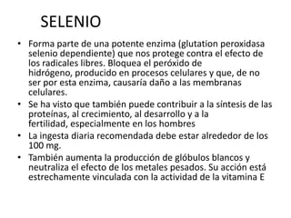 SELENIO
• Forma parte de una potente enzima (glutation peroxidasa
selenio dependiente) que nos protege contra el efecto de
los radicales libres. Bloquea el peróxido de
hidrógeno, producido en procesos celulares y que, de no
ser por esta enzima, causaría daño a las membranas
celulares.
• Se ha visto que también puede contribuir a la síntesis de las
proteínas, al crecimiento, al desarrollo y a la
fertilidad, especialmente en los hombres
• La ingesta diaria recomendada debe estar alrededor de los
100 mg.
• También aumenta la producción de glóbulos blancos y
neutraliza el efecto de los metales pesados. Su acción está
estrechamente vinculada con la actividad de la vitamina E
 