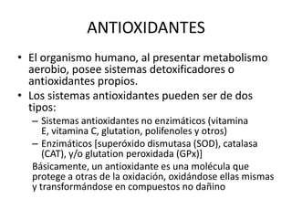 ANTIOXIDANTES
• El organismo humano, al presentar metabolismo
aerobio, posee sistemas detoxificadores o
antioxidantes propios.
• Los sistemas antioxidantes pueden ser de dos
tipos:
– Sistemas antioxidantes no enzimáticos (vitamina
E, vitamina C, glutation, polifenoles y otros)
– Enzimáticos [superóxido dismutasa (SOD), catalasa
(CAT), y/o glutation peroxidada (GPx)]
Básicamente, un antioxidante es una molécula que
protege a otras de la oxidación, oxidándose ellas mismas
y transformándose en compuestos no dañino
 