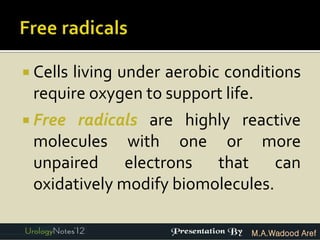  Cells
      living under aerobic conditions
 require oxygen to support life.
 Free radicals are highly reactive
 molecules with one or more
 unpaired electrons that can
 oxidatively modify biomolecules.

                              M.A.Wadood Aref
 